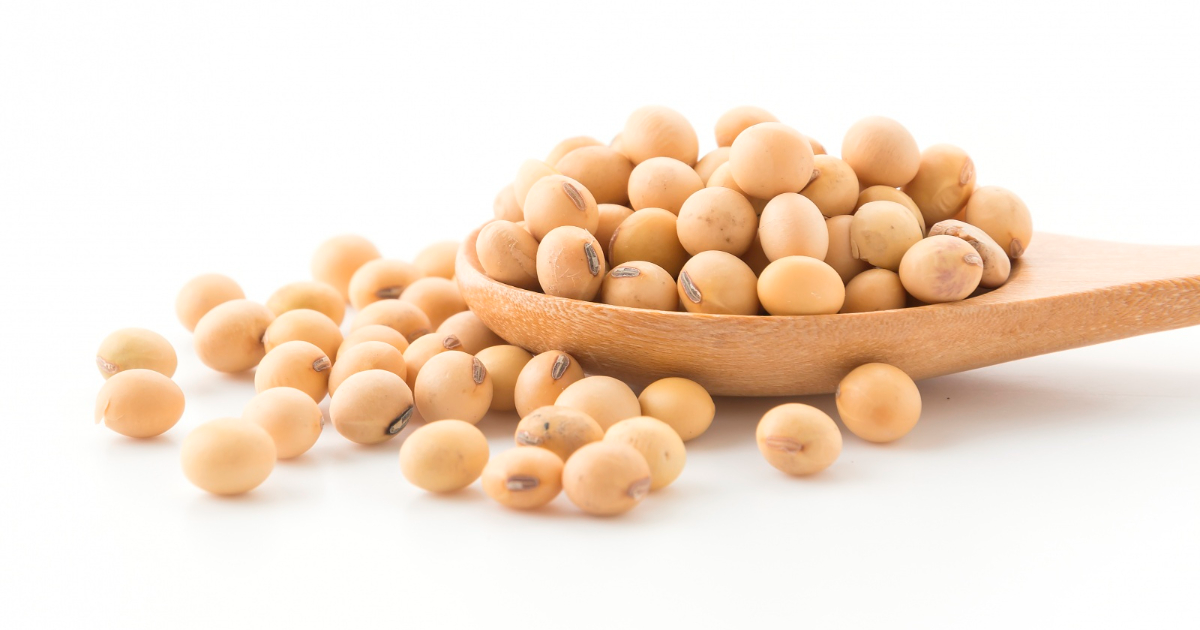 Soya: Propiedades, beneficios y cómo consumirlo